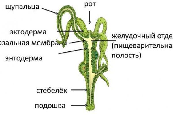 Кракен сегодня сайт зеркало