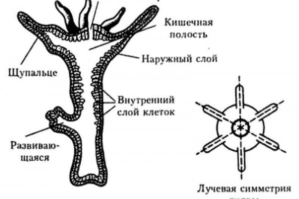 Кракен сайт 13at